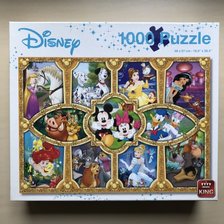 Disney Prinsessen : 1000 stukjes.