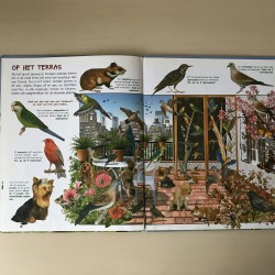 Zoek de ....huisdieren