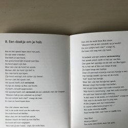 Zoeklicht Dyslexie : Spook te koop