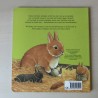 Sunny, het kleine konijntje