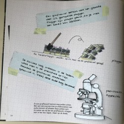 Swoertje wroet in vroeger. De grafheuvel.