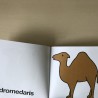 Dieren uit andere landen