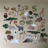 Magneetboek: baby dieren.