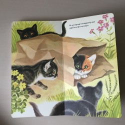 Gouden blokboekje: Ik ben een kat.
