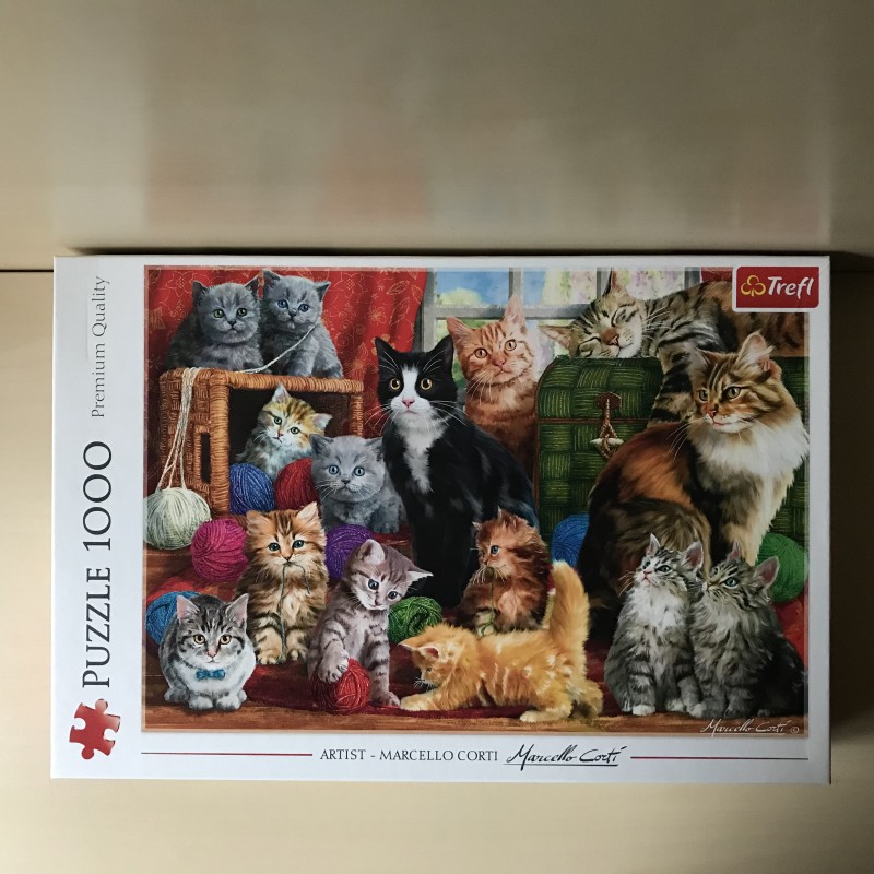 Poezen , katachtige ontmoeting : 1000 stukjes.
