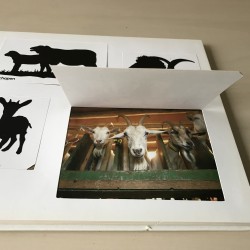 De dieren op de boerderij. Flapjesboek.