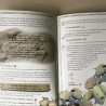 Maths quest: Piratengrot