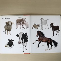 Kijk en leer: Boerderij