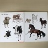 Kijk en leer: Boerderij