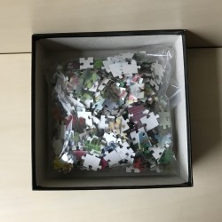 3D Puzzel : De prinses en de eenhoorn. 500 stukjes. Naam erbij.