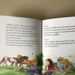 De ponygekke vriendinnen : Het geheime dagboek