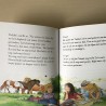 De ponygekke vriendinnen : Het geheime dagboek