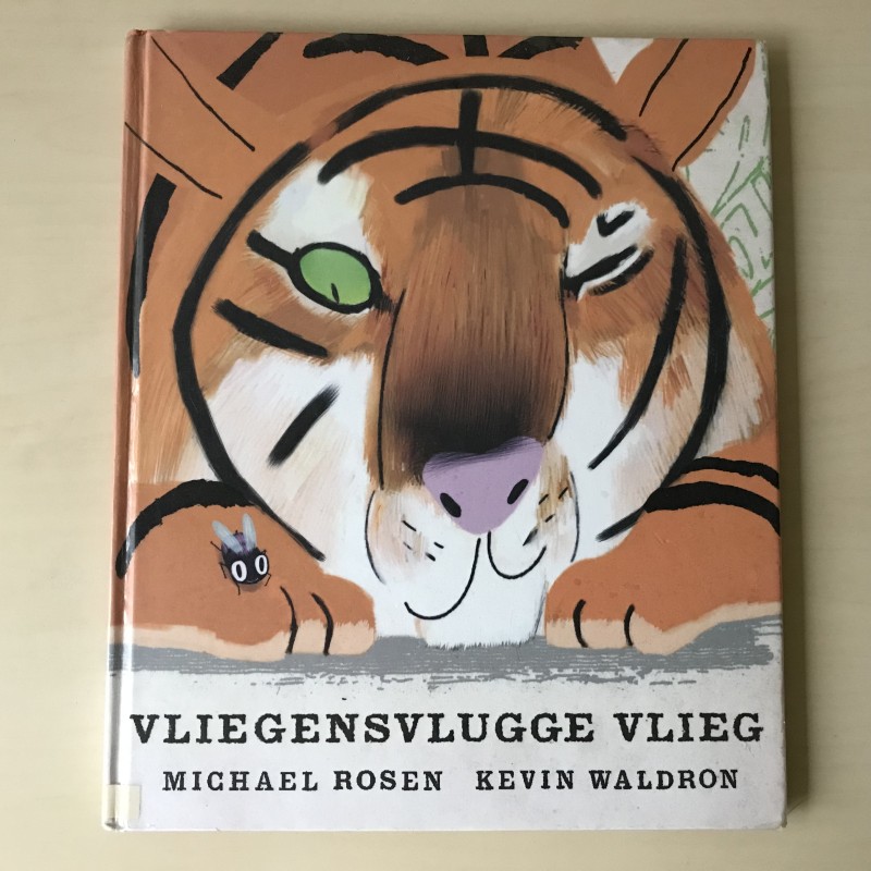 Vliegensvlugge vlieg
