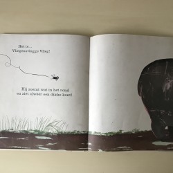 Vliegensvlugge vlieg
