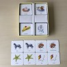 Mijn eerste denkspelletje : Engels Memory