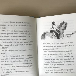 Manege Appelbloesem : Een zomer vol ponyplezier