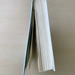 De verschrikkelijke badmeester