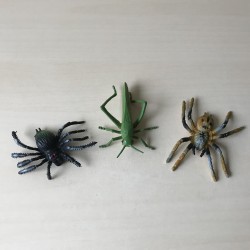 Spinnen en krekel