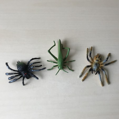 Spinnen en krekel