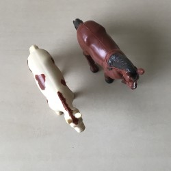 2 paarden.