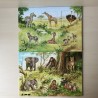 Lotto dieren