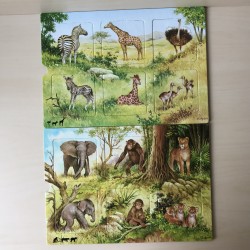 Lotto dieren