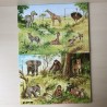 Lotto dieren