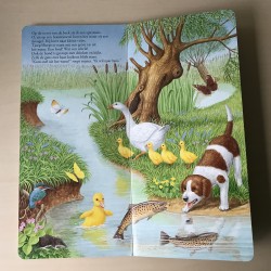 Het kleine eendje