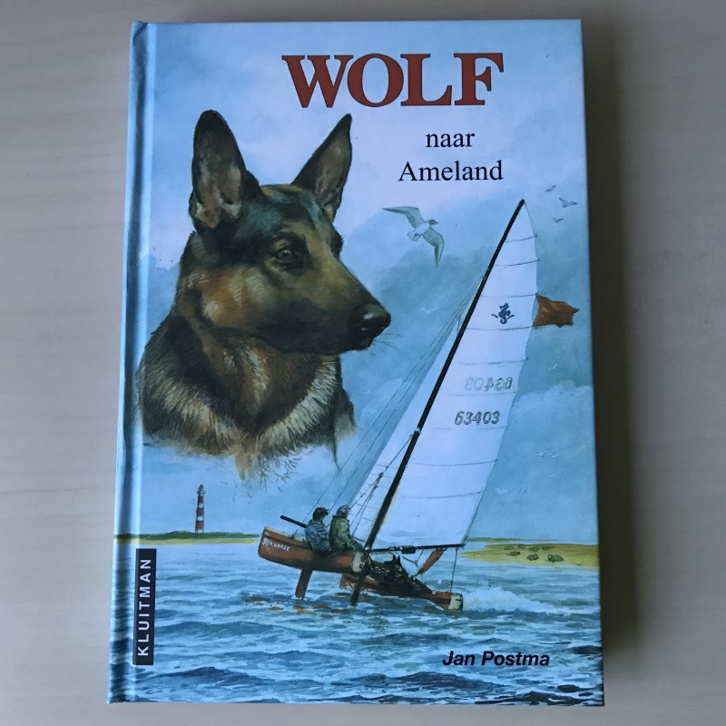Wolf naar Ameland