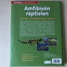 Kennis Compact: Amfibieën en reptielen