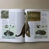Kennis compact: De dinosauriërs.