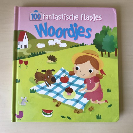 100 fantastische flapjes Woordjes