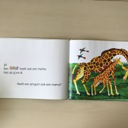 Eric Carle : Heeft een kangoeroe een mama?