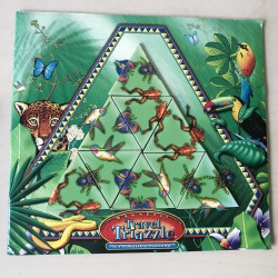 Dan Gilbert’s original Brain teaser. Magnetische Travel Triazzle