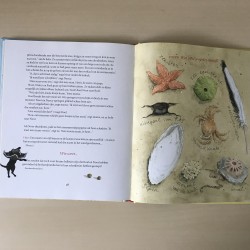 Het grote voorleesboek van zomer, zand en zee