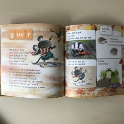 Een bos vol herfst