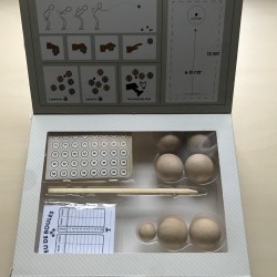 Indoor Jeu de boules