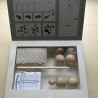 Indoor Jeu de boules
