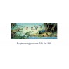 Donald Duck Pocket : Het boevengenootschap. nummer 331.