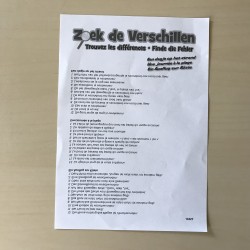 Zoek de verschillen : Een dagje op het strand. 100 stukjes