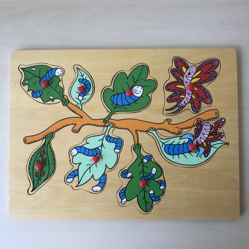 Puzzelplankje Knopjespuzzel : Van rups tot vlinder. 8 stukjes.