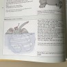 Mijn tweede van Dale: voorleeswoordenboek