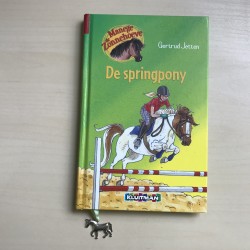 Manege de Zonnehoeve : De springpony