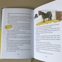 Manege de Zonnehoeve : De stoere pony