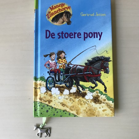 Manege de Zonnehoeve : De stoere pony
