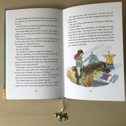 Manege de Zonnehoeve : De dappere pony