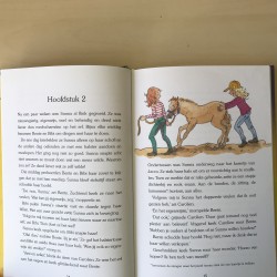 Manege de Zonnehoeve : Het eigenwijze veulen