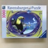 Prachtige toekan : 1000 stukjes