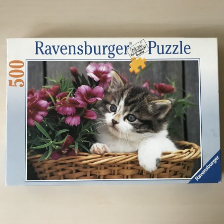 Poes  : 500 stukjes