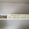 Pheasant Farm. Nieuw. 500 stukjes